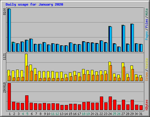 Daily usage for January 2020