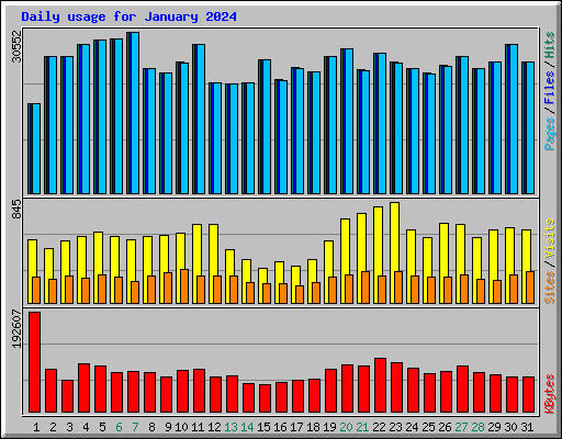 Daily usage for January 2024