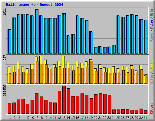 Daily usage for August 2024