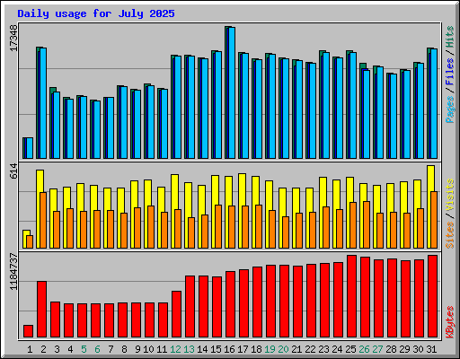 Daily usage for July 2025