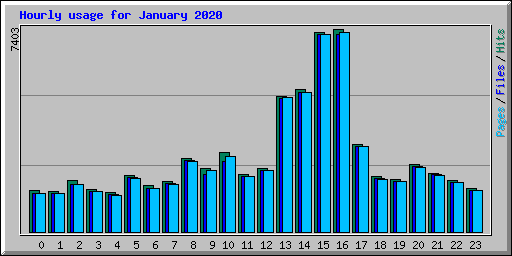 Hourly usage for January 2020