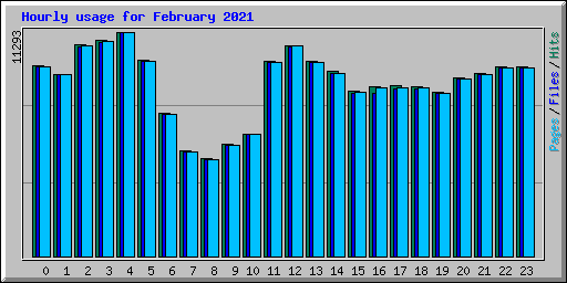 Hourly usage for February 2021