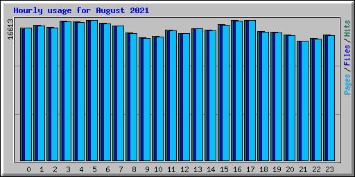 Hourly usage for August 2021