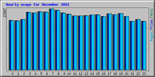 Hourly usage for December 2021