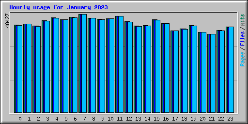 Hourly usage for January 2023