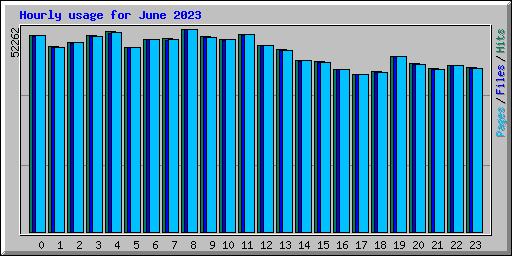 Hourly usage for June 2023