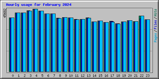 Hourly usage for February 2024