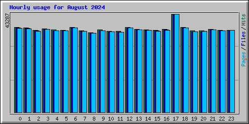 Hourly usage for August 2024