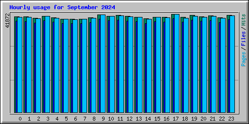 Hourly usage for September 2024