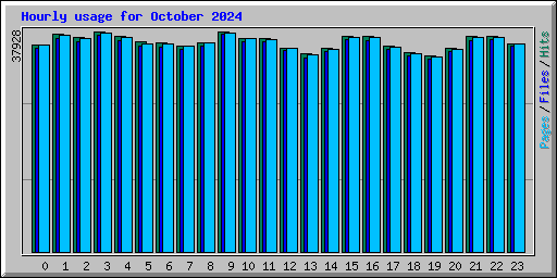 Hourly usage for October 2024