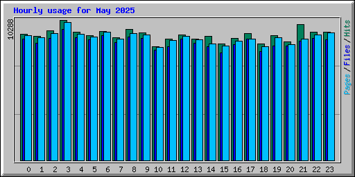 Hourly usage for May 2025