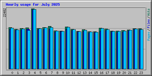 Hourly usage for July 2025